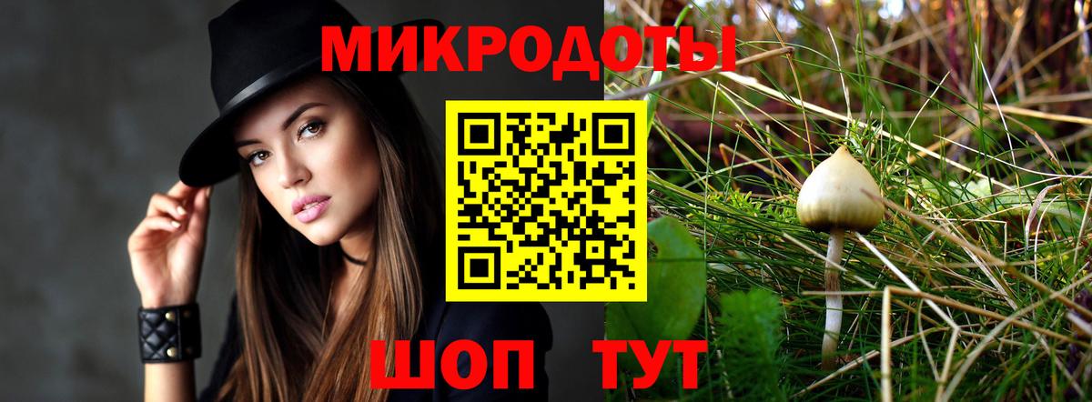 Псилоцибиновые грибы Psilocybine cubensis Чебоксары
